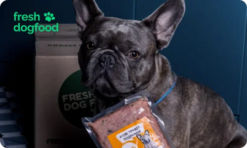 Французский бульдог и натуральный корм для собак Fresh Dog Food