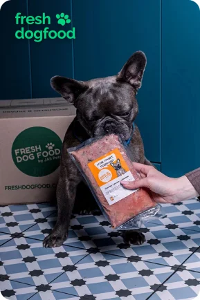 Рейтинг кормів для собак - Fresh Dog Food