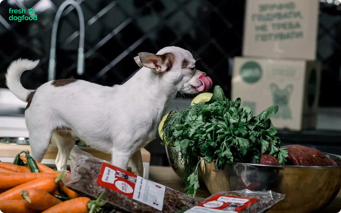 Что такое корм холистик? - Fresh Dog Food